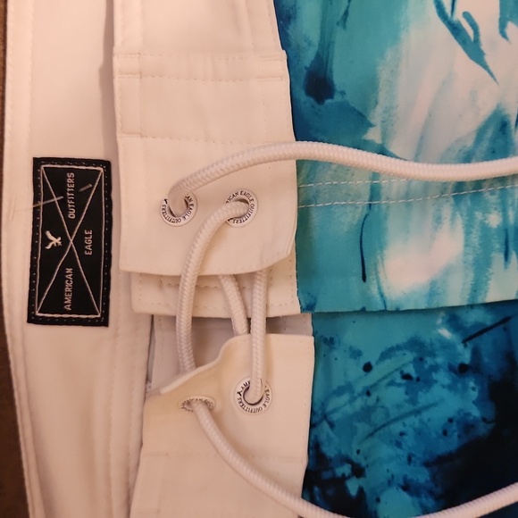 American Eagle Outfitfiters Swim Trunks - Picture 4 of 6
